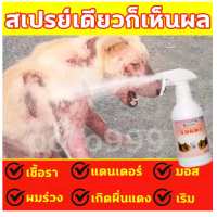 ราคา Kaililai สเปรย์รักษาขี้เรื้อน 500ml ยาขี้เรื้อนหมา ยาแก้เรื้อนหมา ยารักษาขี้เรื้อนหมา ผื่นแดง อาการคัน ผิวหนังอักเสบ ตุ่มคัน ขี้เรื้อนเรื้อรัง เชื้อราแมว ยาทาขี้เรื้อน ยาแก้เรื้อน (16812017573)