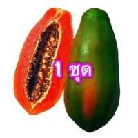 ราคา เมล็ดมะละกอ เรดเลดี้ 30 เมล็ด หวาน หอม เนื้อสีเเดง (8765749431)