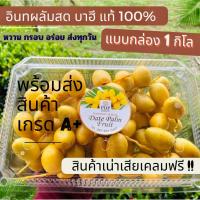 ราคา อินทผลัมสด 1 กิโลกรัม ช่อสวยๆ อินทผลัมสดบาฮี ลูกไซต์สวย เกรด A อินทผลัมบาฮี ส่งตรงจากสวน สด หวาน กรอบ อร่อย อินทผลัมจากสวน อินทผลัม อินทผาลัม อินทผาลัมสด อินทผาลัมบาฮี (19886796244)