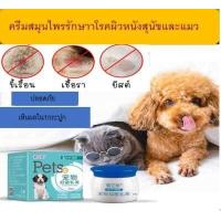 ราคา Pets ครีมสุนัข แมว ครีมสมุนไพรสำหรับทาผิวสัตว์เลี้ยง ครีมทาสุนัข แมว โรคผิวหนัง คัน เกา ขนร่วง เชื้อรา ขี้เรื้อน 20 กรัม (16344174884)
