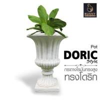 ราคา กระถางโรมัน ทรงสูงลายโดริก กระถางปูนปั้น จัดสวน ประดับสวน แต่งสวน (14381244184)