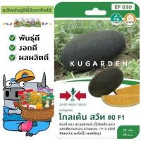 ราคา SORNDAENG ผักซอง ศรแดง S030 แตงโม โกลเด้นสวีท 80 F1 เมล็ดพันธุ์ แตงโม เมล็ดพันธุ์ลูกผสม เมล็ดพันธุ์ผัก ผักสวนครัว ผักศรแดง (4713870020)