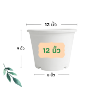 ราคา กระถางต้นไม้ กระถางพลาสติก กระถาง กระถางแคตตัส กระถางปลูกผัก กระถางต้นไม้พลาสติก กระถางปลูกต้นไม้ 4 นิ้ว 6 นิ้ว 8 นิ้ว 10 นิ้ว 12 นิ้ว (12842378068)