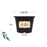 ราคา กระถางต้นไม้ กระถางพลาสติก กระถาง กระถางแคตตัส กระถางปลูกผัก กระถางต้นไม้พลาสติก กระถางปลูกต้นไม้ 4 นิ้ว 6 นิ้ว 8 นิ้ว 10 นิ้ว 12 นิ้ว (15625572538)