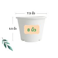 ราคา กระถางต้นไม้ กระถางพลาสติก กระถาง กระถางแคตตัส กระถางปลูกผัก กระถางต้นไม้พลาสติก กระถางปลูกต้นไม้ 4 นิ้ว 6 นิ้ว 8 นิ้ว 10 นิ้ว 12 นิ้ว (12509805648)