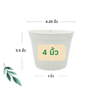ราคา กระถางต้นไม้ กระถางพลาสติก กระถาง กระถางแคตตัส กระถางปลูกผัก กระถางต้นไม้พลาสติก กระถางปลูกต้นไม้ 4 นิ้ว 6 นิ้ว 8 นิ้ว 10 นิ้ว 12 นิ้ว (11299580632)