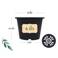 ราคา กระถางต้นไม้ กระถางพลาสติก กระถาง กระถางแคตตัส กระถางปลูกผัก กระถางต้นไม้พลาสติก กระถางปลูกต้นไม้ 4 นิ้ว 6 นิ้ว 8 นิ้ว 10 นิ้ว 12 นิ้ว (10936688598)