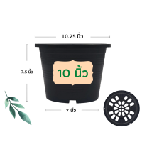 ราคา กระถางต้นไม้ กระถางพลาสติก กระถาง กระถางแคตตัส กระถางปลูกผัก กระถางต้นไม้พลาสติก กระถางปลูกต้นไม้ 4 นิ้ว 6 นิ้ว 8 นิ้ว 10 นิ้ว 12 นิ้ว (11052599756)