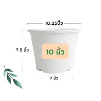 ราคา กระถางต้นไม้ กระถางพลาสติก กระถาง กระถางแคตตัส กระถางปลูกผัก กระถางต้นไม้พลาสติก กระถางปลูกต้นไม้ 4 นิ้ว 6 นิ้ว 8 นิ้ว 10 นิ้ว 12 นิ้ว (12715744019)