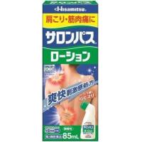 ราคา แผ่นแปะแก้ปวด Hisamitsu Salonpas (20097696496)
