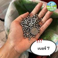 ราคา ลูกตะกั่ว ขายเป็นกิโล เบอร์ 1 8 ตะกั่วนก ตะกั่วหนู ตะกั่วเม็ด ตะกั่ว (18838930614)