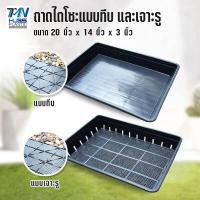 ราคา ถาดไดโซะแบบ ทึบ และ เจาะรู ถาดเพาะเมล็ด ถาดแยกกล้า ถาดชำหน่อ ขนาด กว้าง 20 นิ้ว x ยาว 14 นิ้ว x สูง 3 นิ้ว ถาดปลูกต้นไม้ ถาดปลูกต้นกล้า (20729874020)