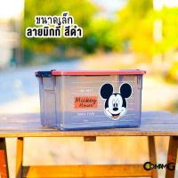 ราคา กล่องอเนกประสงค์มีหูล็อค กล่องหูหิ้ว กล่องใส่ของอเนกประสงค์ ลายการ์ตูน ลิขสิทธิ์แท้ (12497601083)