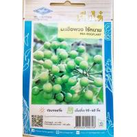 ราคา เมล็ดพันธุ์ผัก เจียไต๋ ผักซอง มะเขือคางกบรักบี้ มะเขือไข่เต่าเขียว มะเขือพวง เปราะจาว มะเขือเจ้าพระยา มะเขือตอแหล มะเขือเปราะ มะเขือ (6510498358)