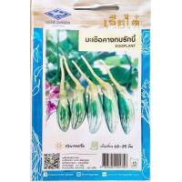ราคา เมล็ดพันธุ์ผัก เจียไต๋ ผักซอง มะเขือคางกบรักบี้ มะเขือไข่เต่าเขียว มะเขือพวง เปราะจาว มะเขือเจ้าพระยา มะเขือตอแหล มะเขือเปราะ มะเขือ (6510498356)