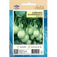 ราคา เมล็ดพันธุ์ผัก เจียไต๋ ผักซอง มะเขือคางกบรักบี้ มะเขือไข่เต่าเขียว มะเขือพวง เปราะจาว มะเขือเจ้าพระยา มะเขือตอแหล มะเขือเปราะ มะเขือ (6510498361)