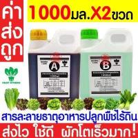 ราคา ค่าส่งถูก ฟองน้ำเพาะกล้า 10แผ่น ฟองน้ำปลูกผัก ฟองน้ำเพาะเมล็ด ปลูกผักไฮโดรโปนิกส์ ฟองน้ำไฮโดร ฟองน้ำเพาะปลูก ไฮโดร ไฮโดรโปนิกส์ เกรดA (20713191209)