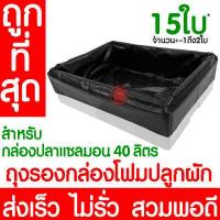 ราคา ค่าส่งถูก ฟองน้ำเพาะกล้า 10แผ่น ฟองน้ำปลูกผัก ฟองน้ำเพาะเมล็ด ปลูกผักไฮโดรโปนิกส์ ฟองน้ำไฮโดร ฟองน้ำเพาะปลูก ไฮโดร ไฮโดรโปนิกส์ เกรดA (20712850905)