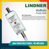 ราคา Lindner ฟิวส์ใบมีด NH Protection 500V ฟิวส์ AC Fuse Link (11562414412)