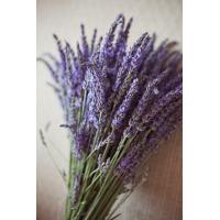 ราคา ดอกไม้แห้ง ดอกลาเวนเดอร์ ลาเวนเดอร์อบแห้ง สีแบบดอกแห้งนะคะ (13215218540)