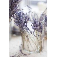 ราคา ดอกไม้แห้ง ดอกลาเวนเดอร์ ลาเวนเดอร์อบแห้ง สีแบบดอกแห้งนะคะ (13215218538)