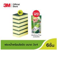 ราคา 3M Scotch Brite สก๊อตช์ ไบรต์ ใยขัดพร้อมฟองน้ำ 3x4 นิ้ว แพ็ค 6 ชิ้น (913046324)
