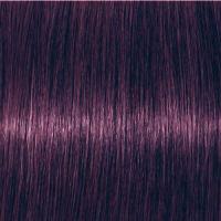 ราคา Schwarzkopf Pro Igora Royal สีย้อมผม ยาย้อมผม ชวาร์สคอฟ อีโกร่า รอเเยล 60 มล ไม่รวมไฮโดรเจน (15559048729)