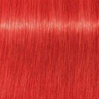 ราคา Schwarzkopf Pro Igora Royal สีย้อมผม ยาย้อมผม ชวาร์สคอฟ อีโกร่า รอเเยล 60 มล ไม่รวมไฮโดรเจน (15559048727)