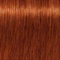 ราคา Schwarzkopf Pro Igora Royal สีย้อมผม ยาย้อมผม ชวาร์สคอฟ อีโกร่า รอเเยล 60 มล ไม่รวมไฮโดรเจน (15558421204)