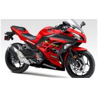 ราคา การปอกการเปลี่ยนแปลงนินจา250 FI นินจา Fi 250กราวิส (19101563309)