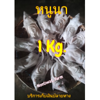 ราคา หนูนาสำหรับประกอบอาหาร 1 กิโลกรัม บรรจุลังโฟม (21251638381)