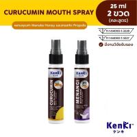 ราคา คละสูตร KENKI CURUCUMIN MENANGI MOUTH SPRAY สเปรย์พ่นช่องปาก และลำคอ 25 ml (21260975420)