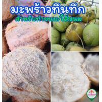ราคา มะพร้าวทึนทึก สำหรับทำขนม ทำไส้ขนม (20562883699)