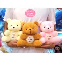 ราคา ตุ๊กตาหมีขนนุ่มคุณภาพดีขนาด 10 นิ้ว 8 นิ้ว (14762996044)