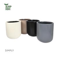 ราคา ชุดกระถางต้นไม้ไฟเบอร์กลาสพร้อมขาไม้สักขนาด13นิ้ว pre order 5 วัน (19342352799)