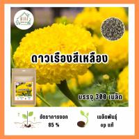 ราคา เมล็ดพันธุ์ ดอกดาวเรืองสีเหลือง บรรจุ 300 เมล็ด (21038097853)