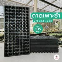ราคา ถาด 105 หลุม ถาดเพาะชำ ถาดเพาะกล้าไม้ ถาดเพาะเมล็ด (4529768466)