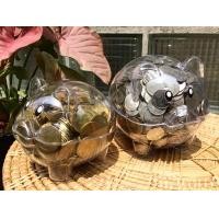 ราคา กระปุกออมสิน ออมสิน ออมสินหมู ออมสินสีใส กระปุกออมสินสีใส (19708166104)