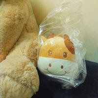 ราคา ตุ๊กตาหมอนผ้าห่ม ตัวใหญ่ หมอนนุ่มนิ่มผ้าห่มอุ่น ของขวัญของฝาก กดโค๊ดส่งฟรีได้เลยค่ะ (21096678033)