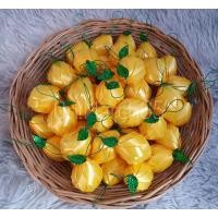 ราคา พร้อมส่ง โปรยทานผลไม้ มะปราง มะยงชิด ตัวเปล่า 50 ชิ้น (18116515618)