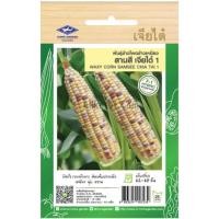 ราคา เมล็ดพันธุ์ ข้าวโพดข้าวเหนียว สามสี เจียไต๋ 1 ตราเจียไต๋ (20688947853)