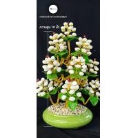 ราคา ของฝาก ของแทนคำอวยพร ต้นไม้หยก ต้นไม้มงคล ต้นหยก เสริมดวง ปรับฮวงจุ้ย ต้นไม้ประดิษฐ์ กระถาง 15 ช่อ หยกรูปหัวใจ (19527434832)