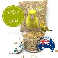 ราคา ข้าวโอ๊ต Oat ข้าวโอ๊ตนก ธัญพืชข้าวโอ๊ต ธัญพืชสำหรับนกแก้ว อาหารนก เหมาะสำหรับนกแก้วทุกสายพันธุ์ (20666170175)