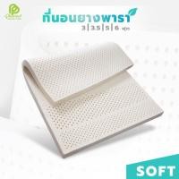 ราคา Phurinn Topper ที่นอนยางพาราแท้ รุ่น Premuim Soft ขนาด 3 3 5 5 6 ฟุต ยางแผ่น ขึ้นรูปทั้งก้อน Topper ท็อปเปอร์ ยางพาราแท้ (10400033576)