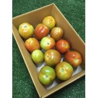 ราคา มะเขือเทศท้อ มะเขือเทศส้มตำ ผักผลไม้สด ผักสลัด (13425430216)