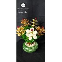 ราคา ของฝาก ของแทนคำอวยพร ต้นไม้หยก ต้นไม้มงคล ต้นหยก เสริมดวง ปรับฮวงจุ้ย ต้นไม้ประดิษฐ์ กระถาง 5 ช่อ (19527532868)