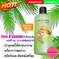 ราคา แชมพู mr dee แชมพูมิสเตอร์ดี ผลิตภัณฑ์จากธรรมชาติ สูตรน้ำมันมะพร้าวสกัดเย็น กลิ่นมะลิ (1554016319)