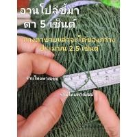 ราคา อวนโปลีขี้ม้า อวนล้อมไก่ อวนล้อมปลา อวนกันนก รุ่น 380D 18 (20095571447)