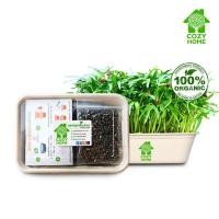 ราคา ชุดปลูกต้นอ่อนผักบุ้ง Cozy Home เมล็ดเพาะงอก เมล็ดพันธุ์ผัก ชุดพร้อมปลูก เมล็ดผักบุ้ง ผักบุ้งพันธุ์เรียวไผ่ organic 100 (18416791607)