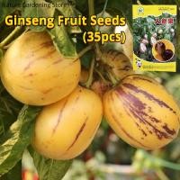 ราคา เมล็ดพันธุ์ เปปิโน เมล่อน โสมผลไม้ บรรจุ 35เมล็ด มะเขือหวาน Pepino Pelon Seeds Ginseng Fruit Seeds for Planting เมล็ดผลไม้ พันธุ์ผลไม้ ต้นผลไม้ เมล็ดพันธุ์ผัก พันธุ์ผัก บอนไซ พันธุ์ไม้ผล ผักสวนครัว ปล